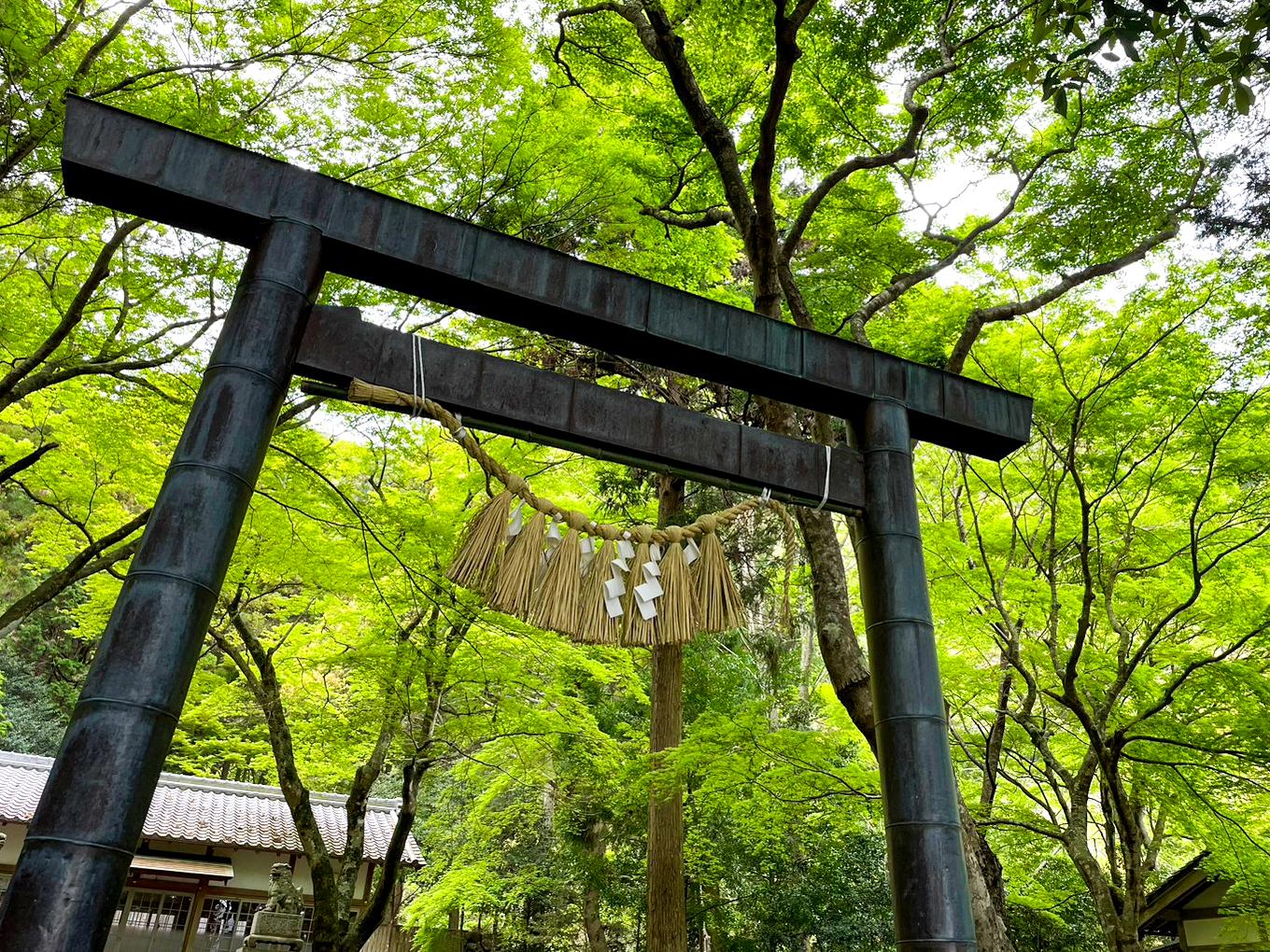 八柱神社（古和浦）-1