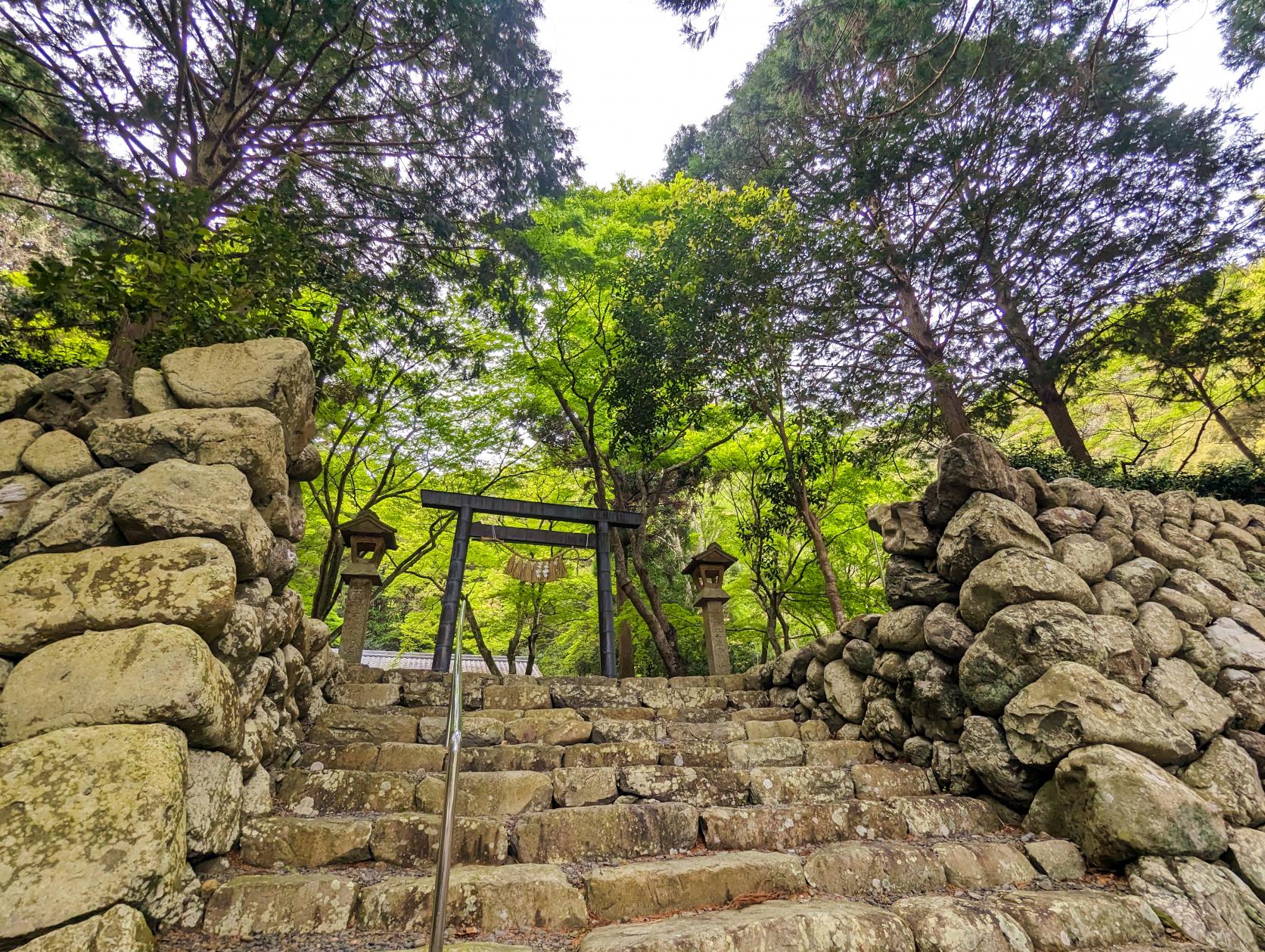 八柱神社（古和浦）-4