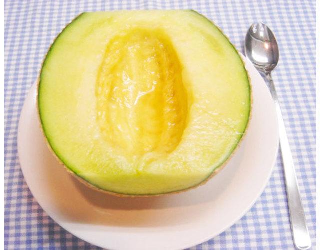 伊勢湾フェリーで行くメロン狩り＆フレンチプラン-1