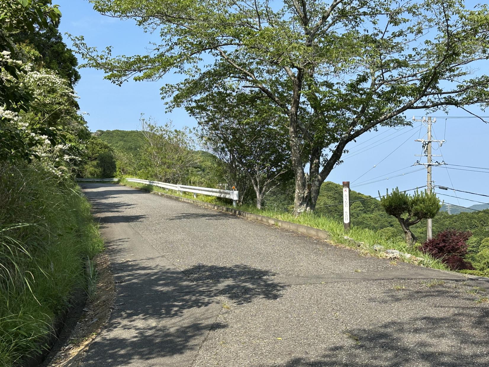 おうむ岩展望台-7