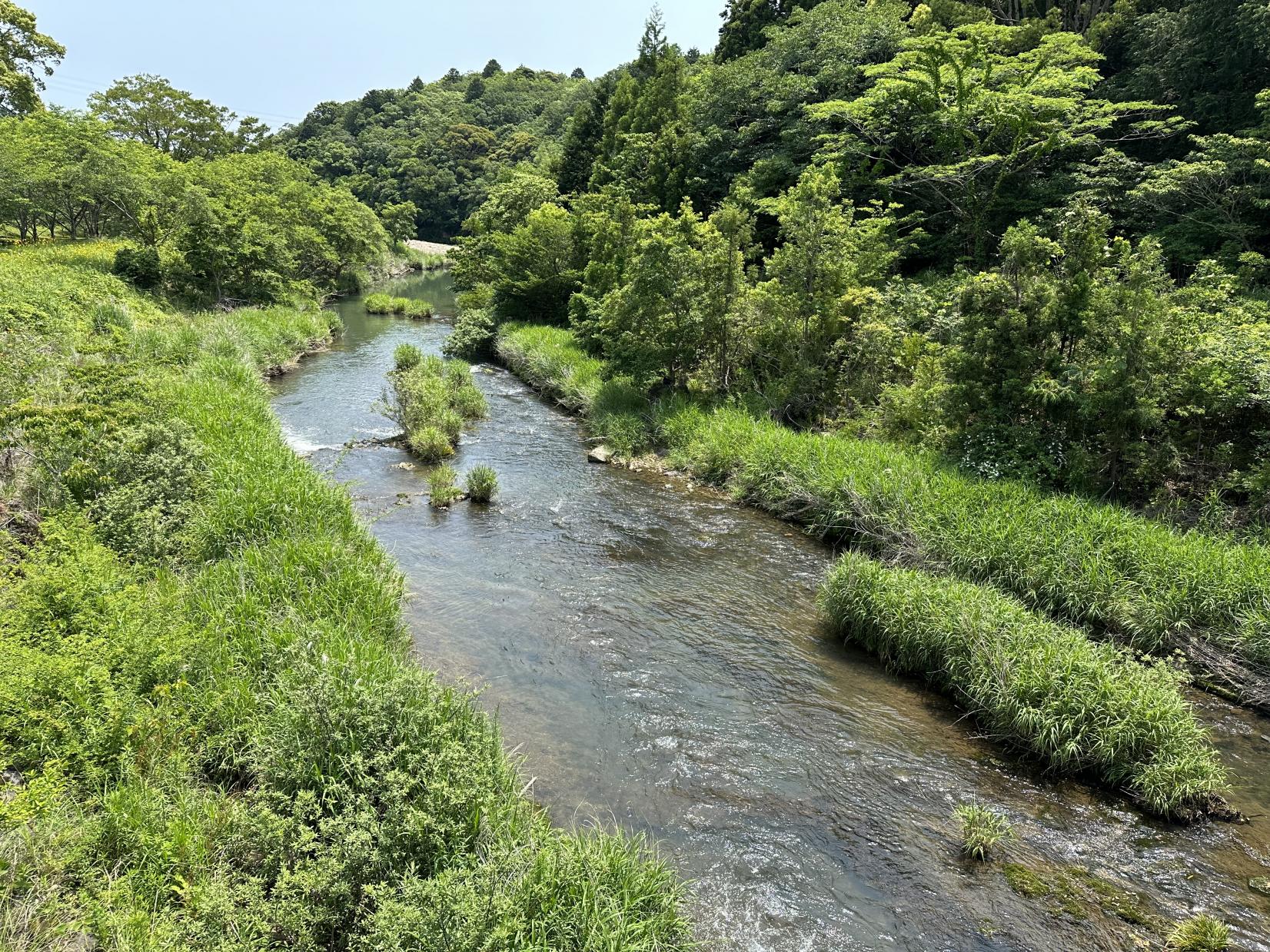 あかっぽれ（通称）-4