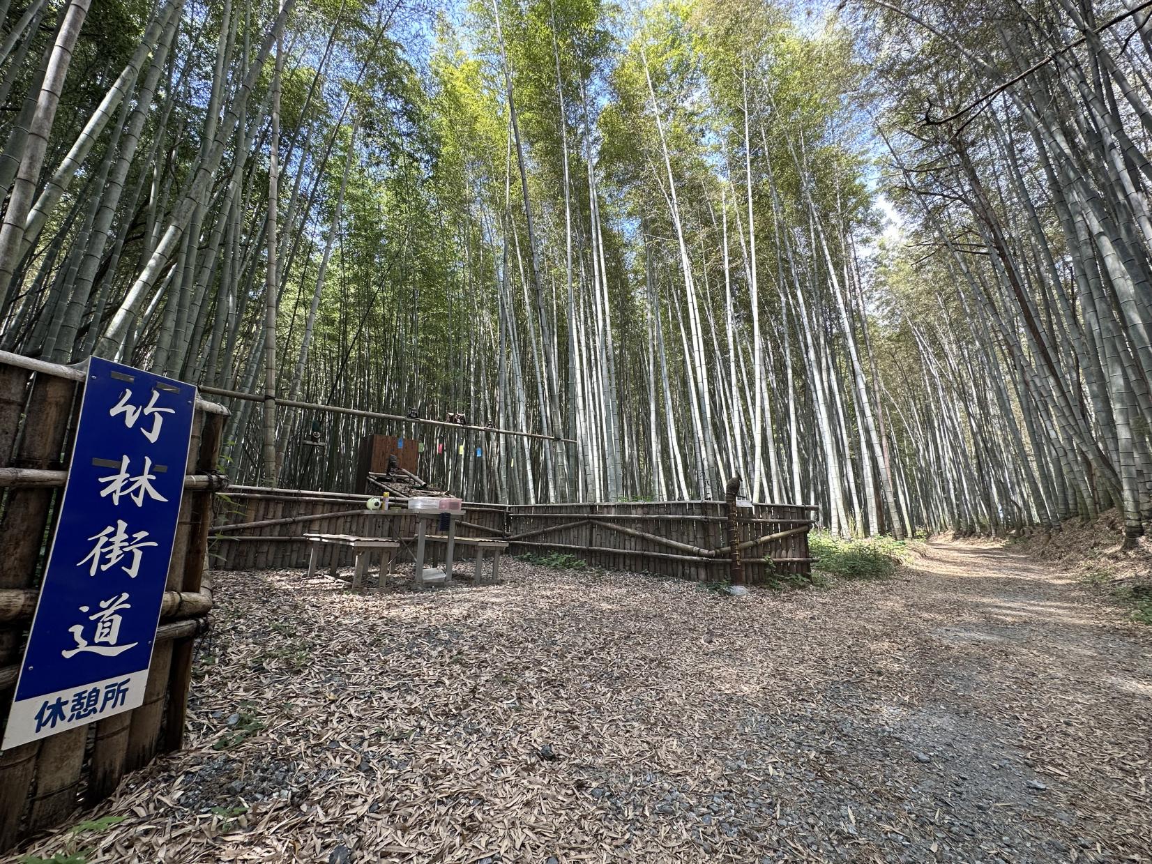 美濃田竹林街道-2