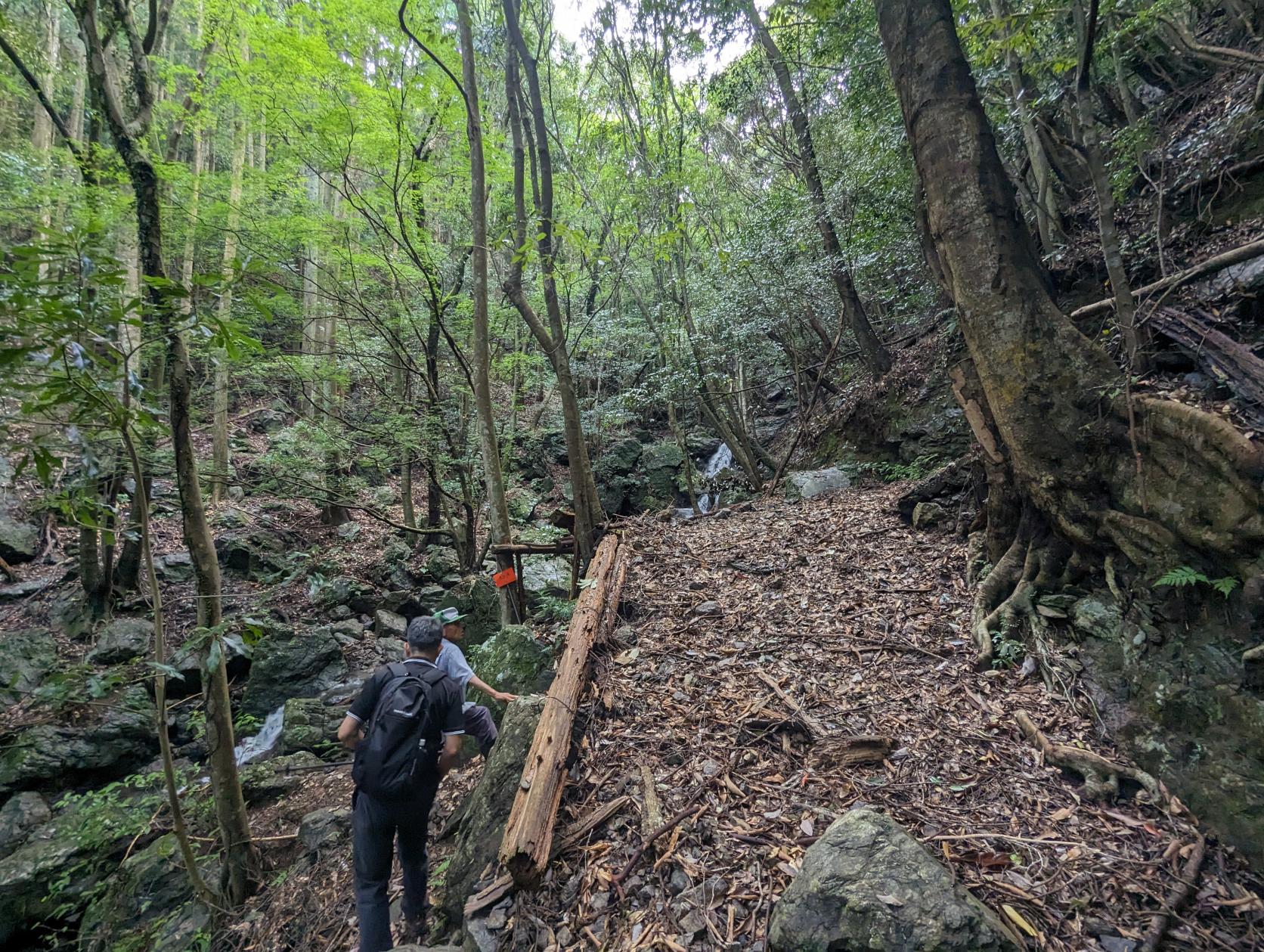 伊勢路 神地谷七ツ滝-3