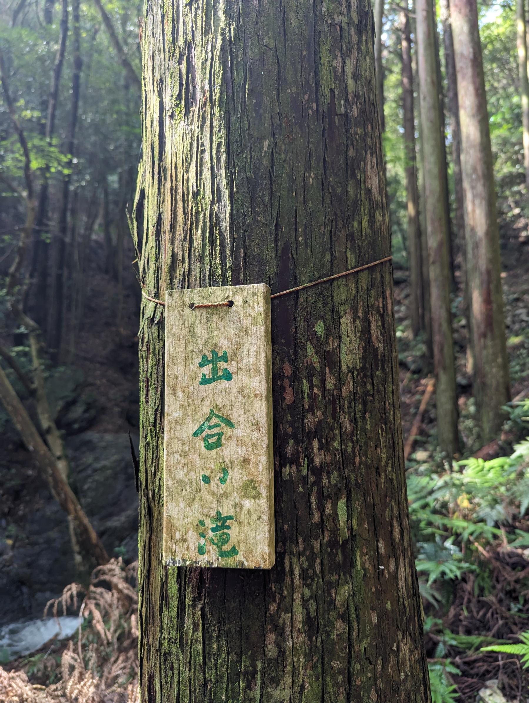 伊勢路 神地谷七ツ滝-4