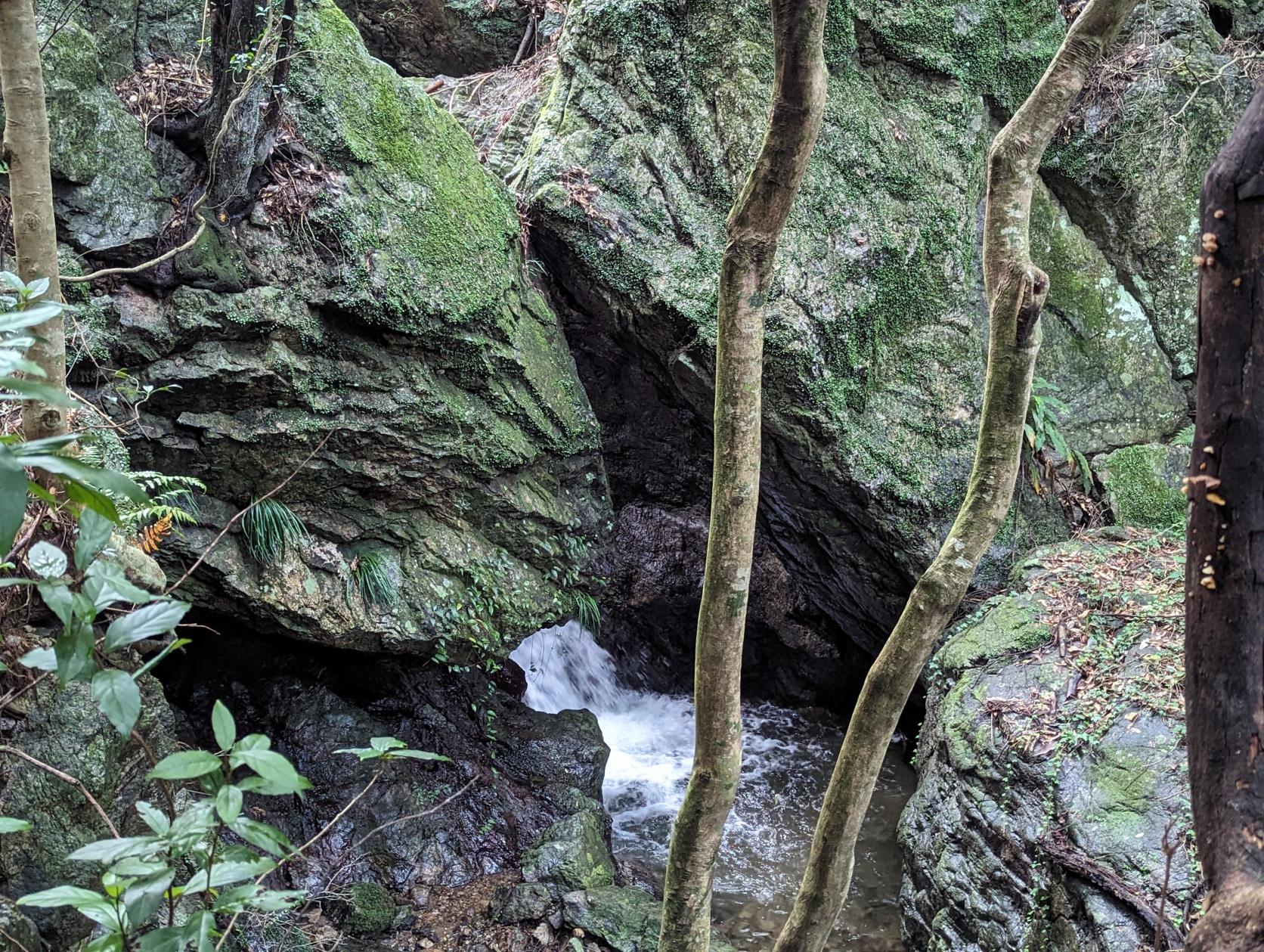 伊勢路 神地谷七ツ滝-5