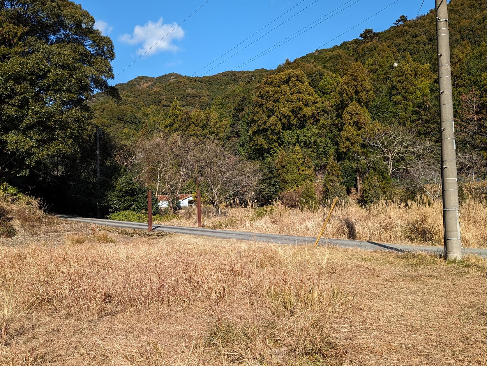 伊勢路 神地谷七ツ滝-7