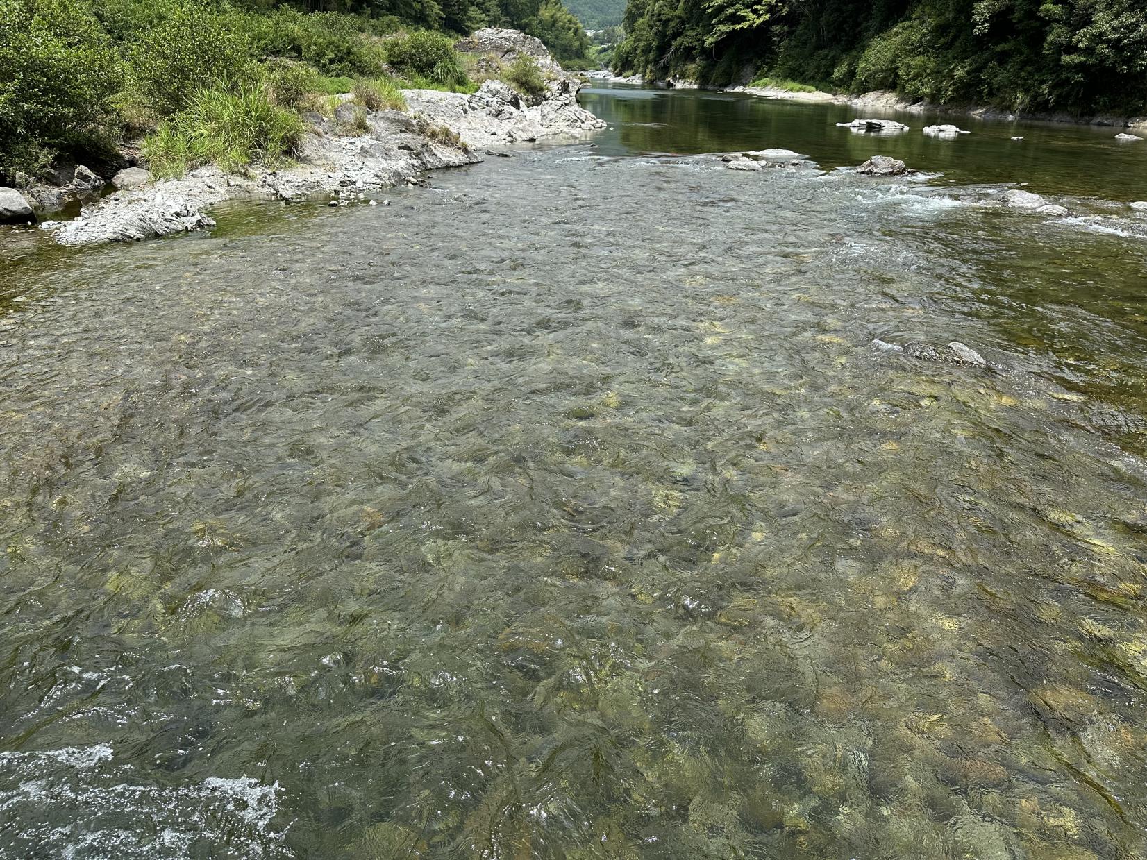 有間野の沈み橋-6