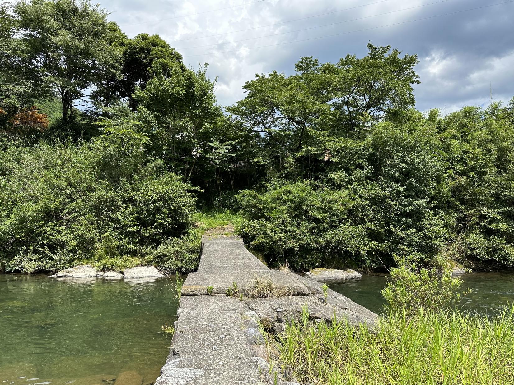 蓮川 森の沈み橋-1