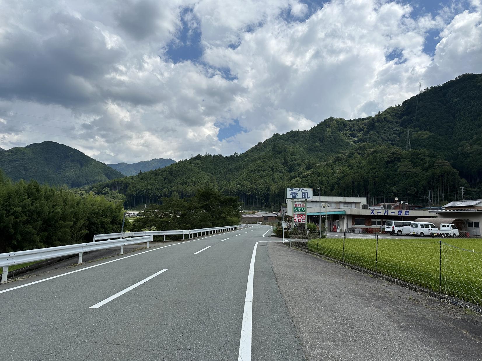 蓮川 森の沈み橋-5