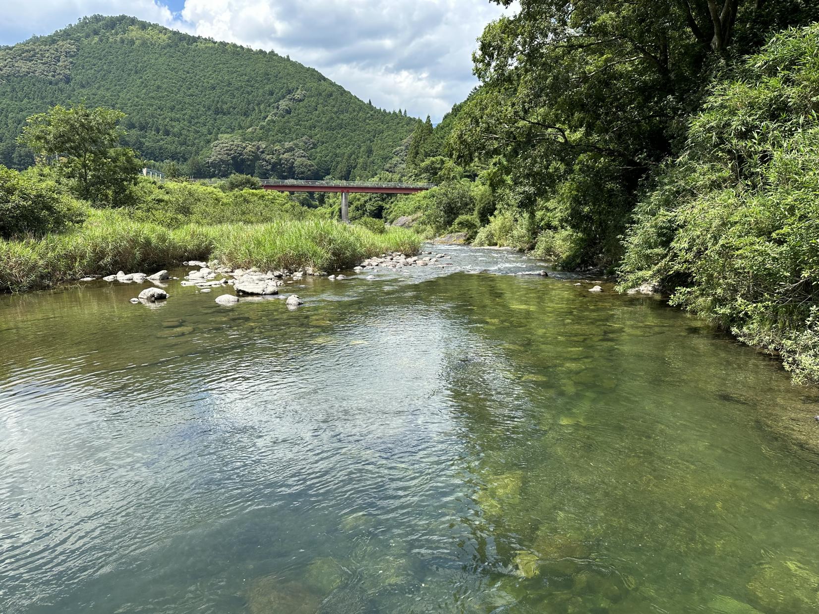 蓮川 森の沈み橋-3