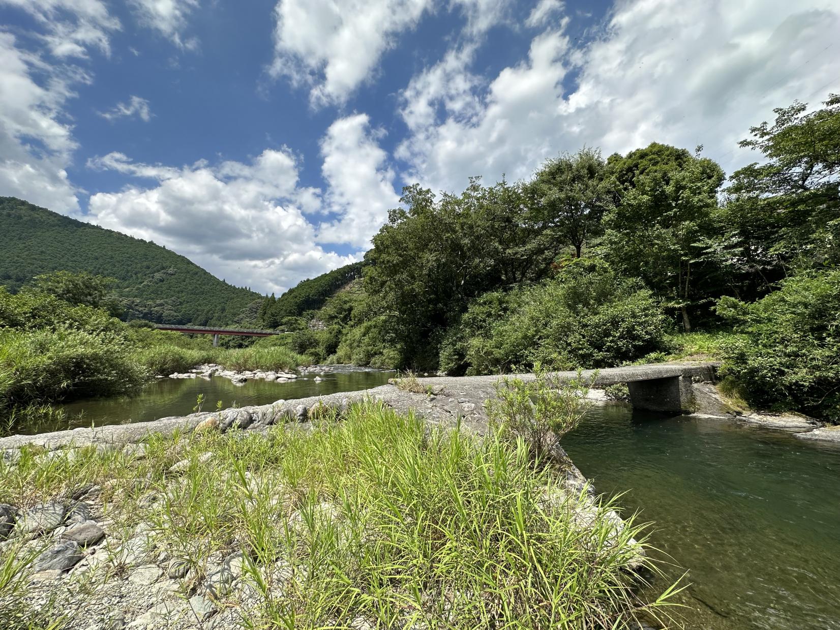 蓮川 森の沈み橋-2