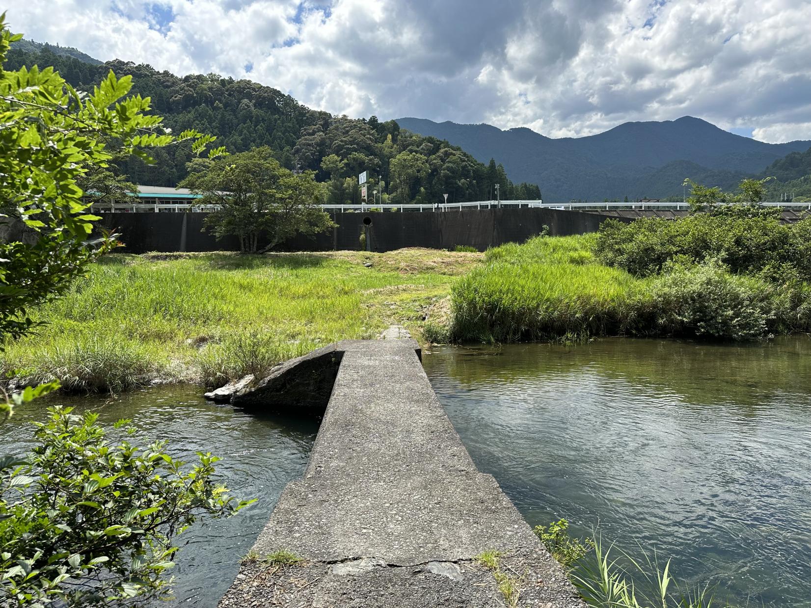 蓮川 森の沈み橋-4