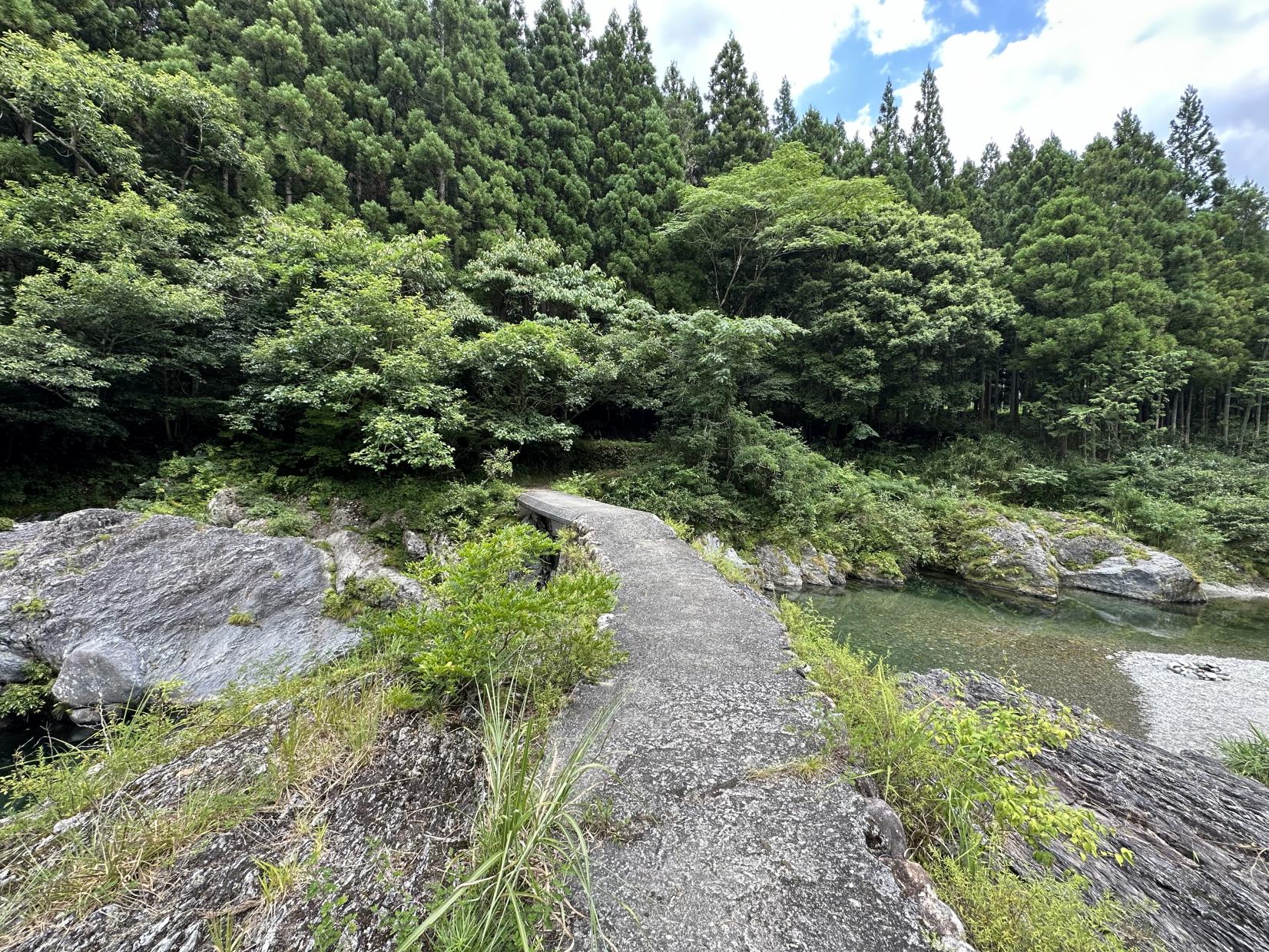 櫛田川 森の沈み橋-1