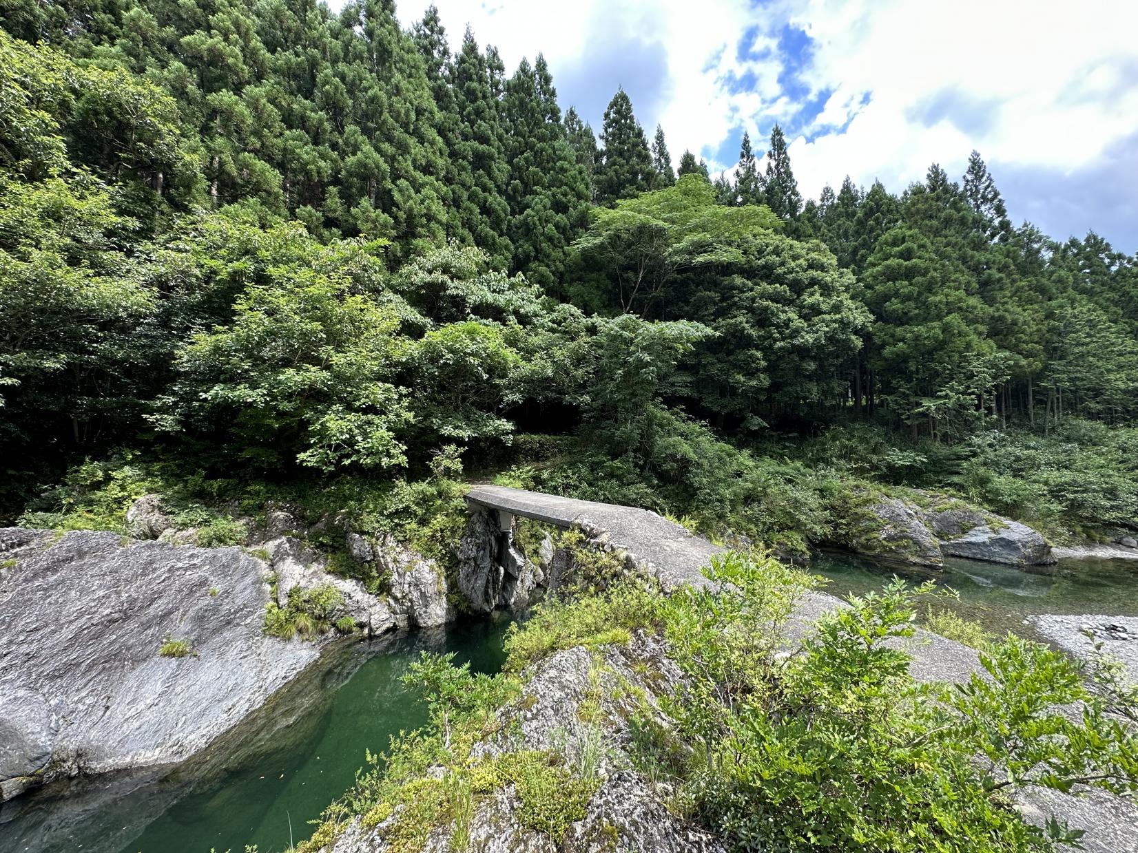 櫛田川 森の沈み橋-0