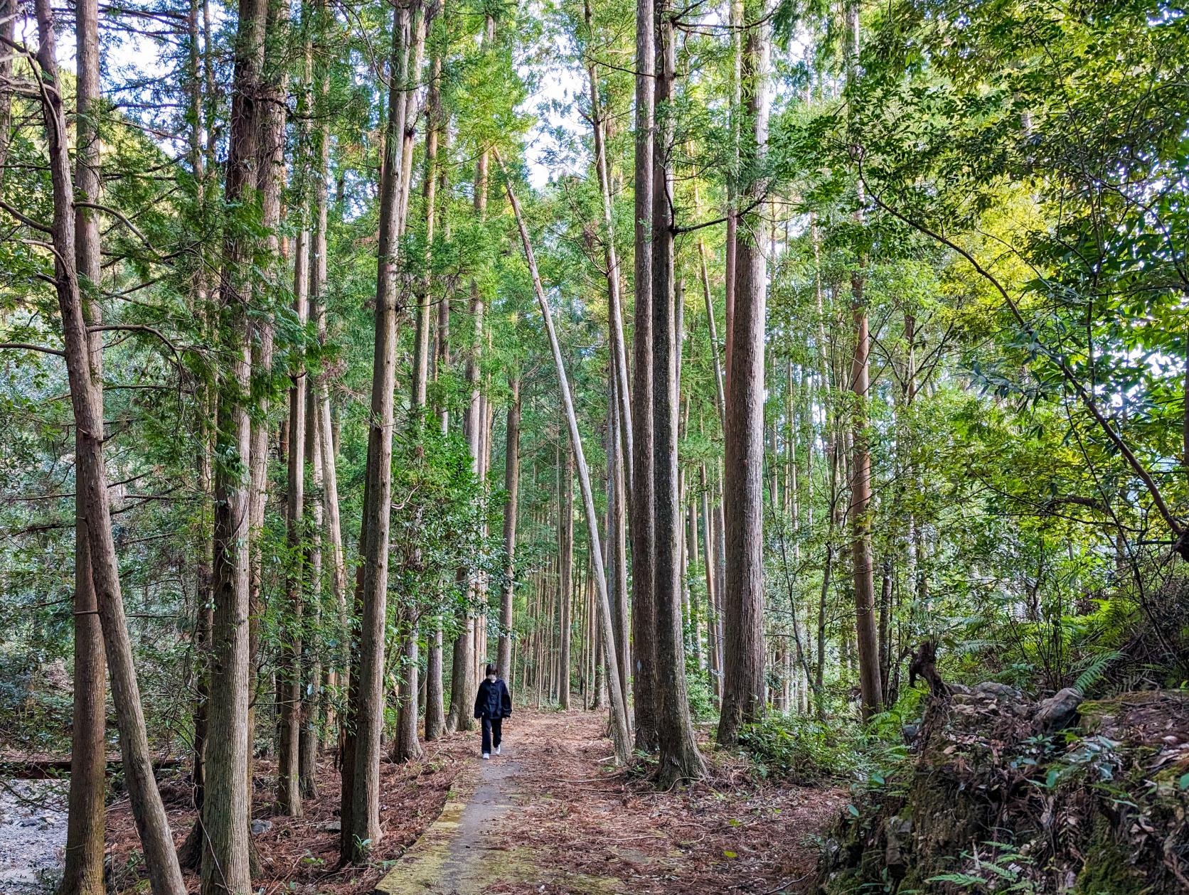 棚橋竈不動の滝-3