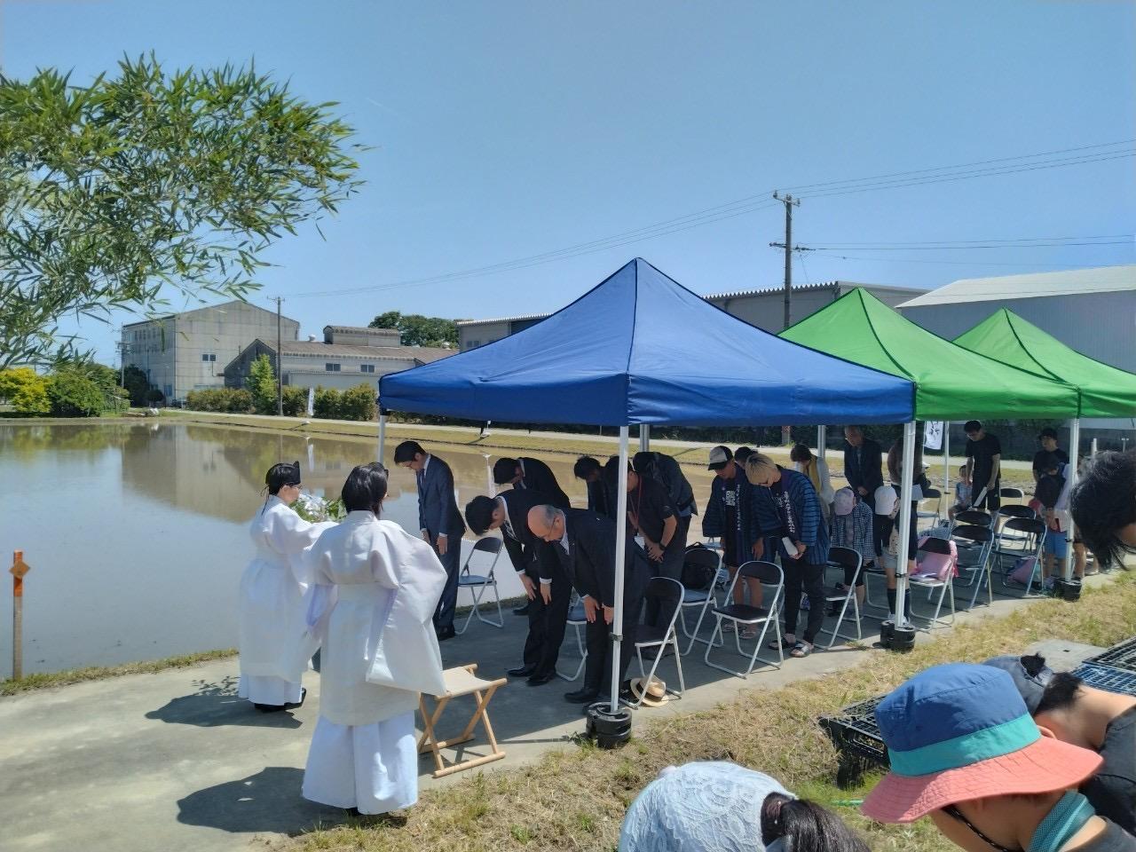 日本酒「神都の祈り」御田植祭 〜酒米田植え体験〜-5