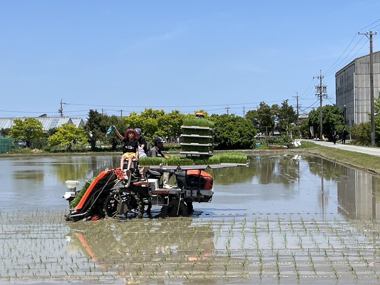 日本酒「神都の祈り」御田植祭 〜酒米田植え体験〜-4