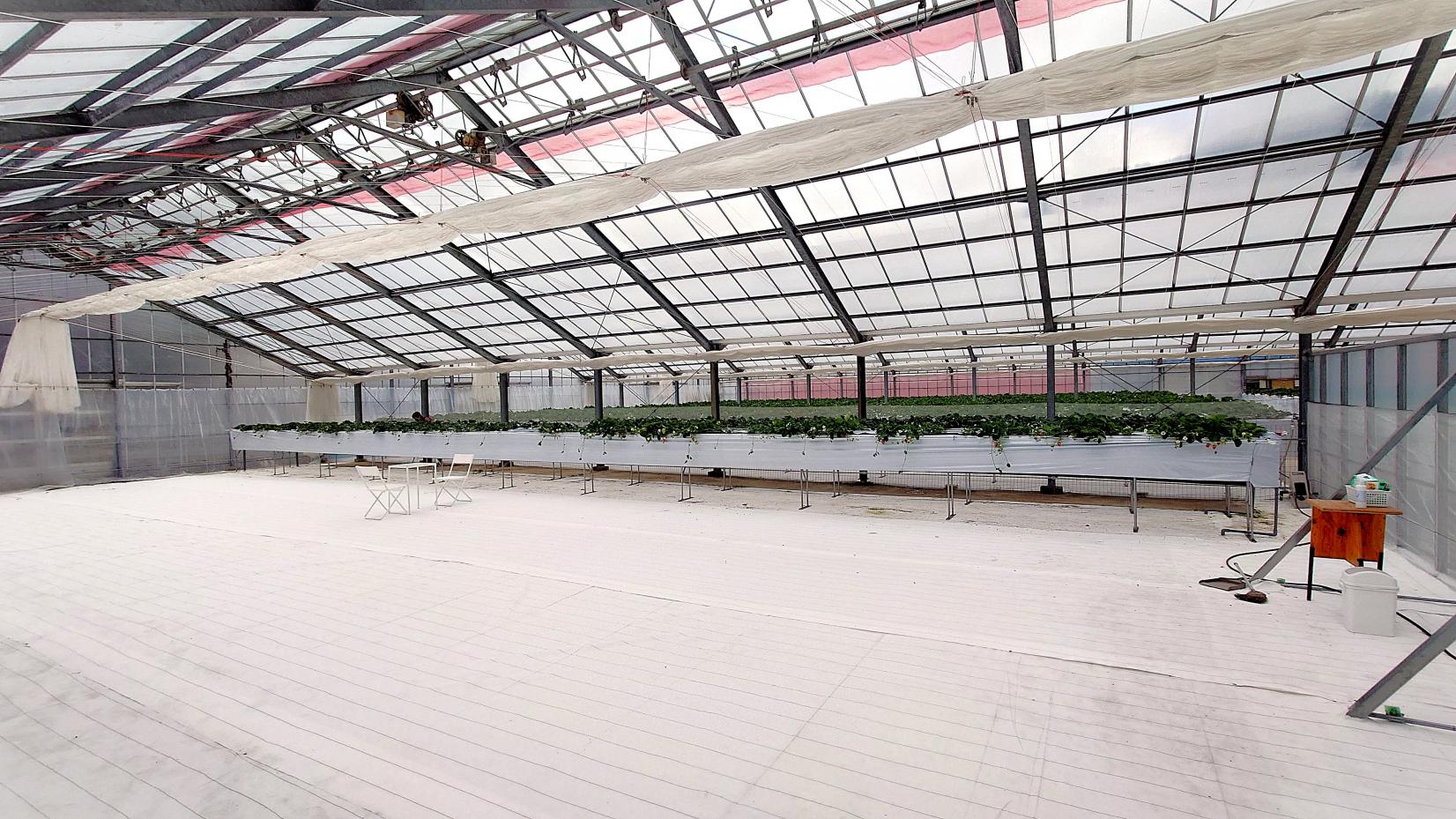 いちごのにわ-5