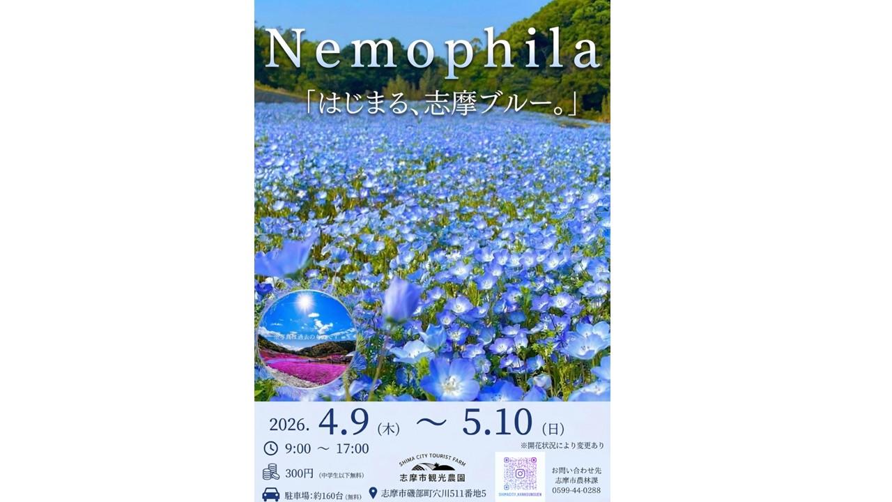 志摩市観光農園　ネモフィラ畑が開園-1