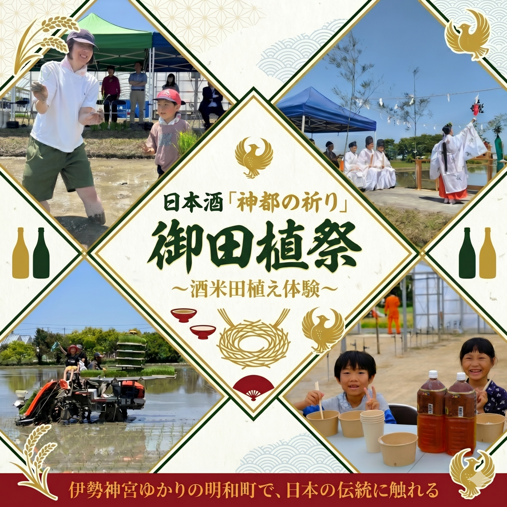 一年通した日本酒造りやってみませんか！酒米の田植え体験で日本の文化を感じよう