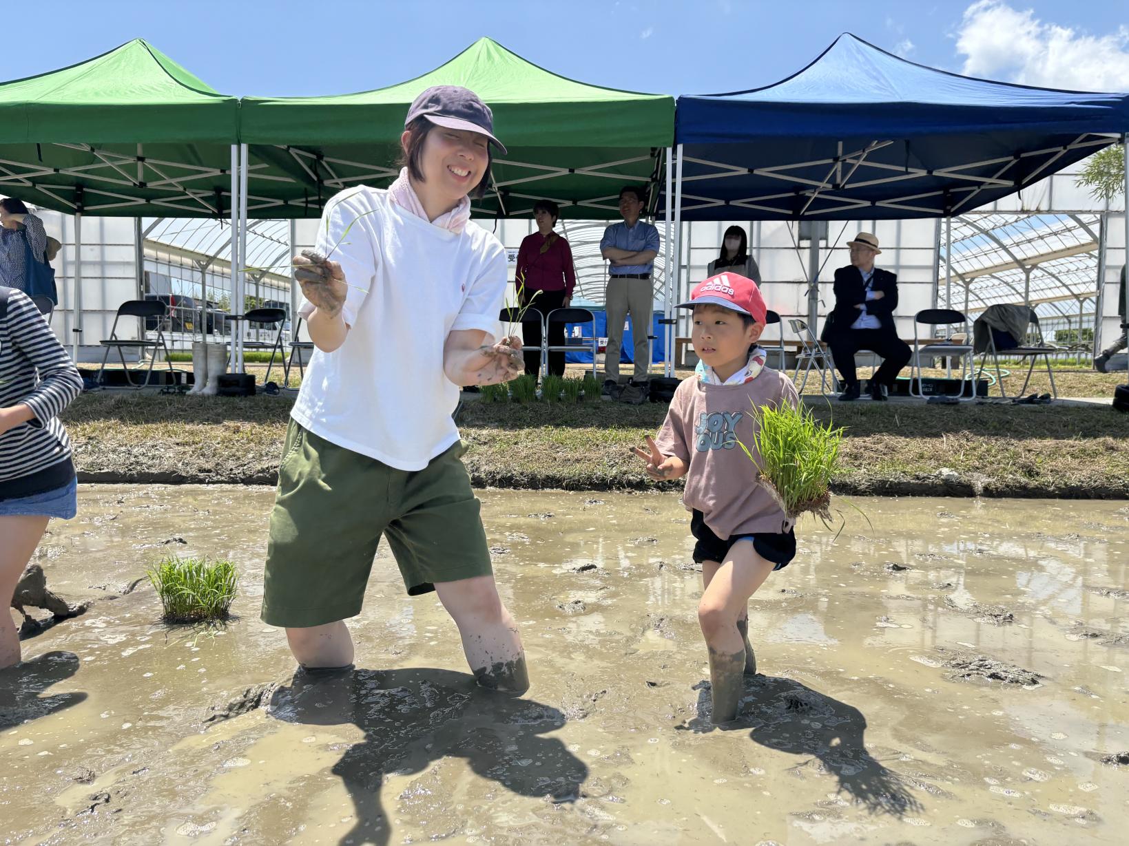 日本酒「神都の祈り」御田植祭 〜酒米田植え体験〜-1