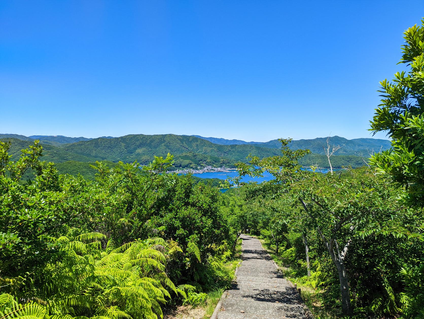 Parc panoramique de Nankai-9