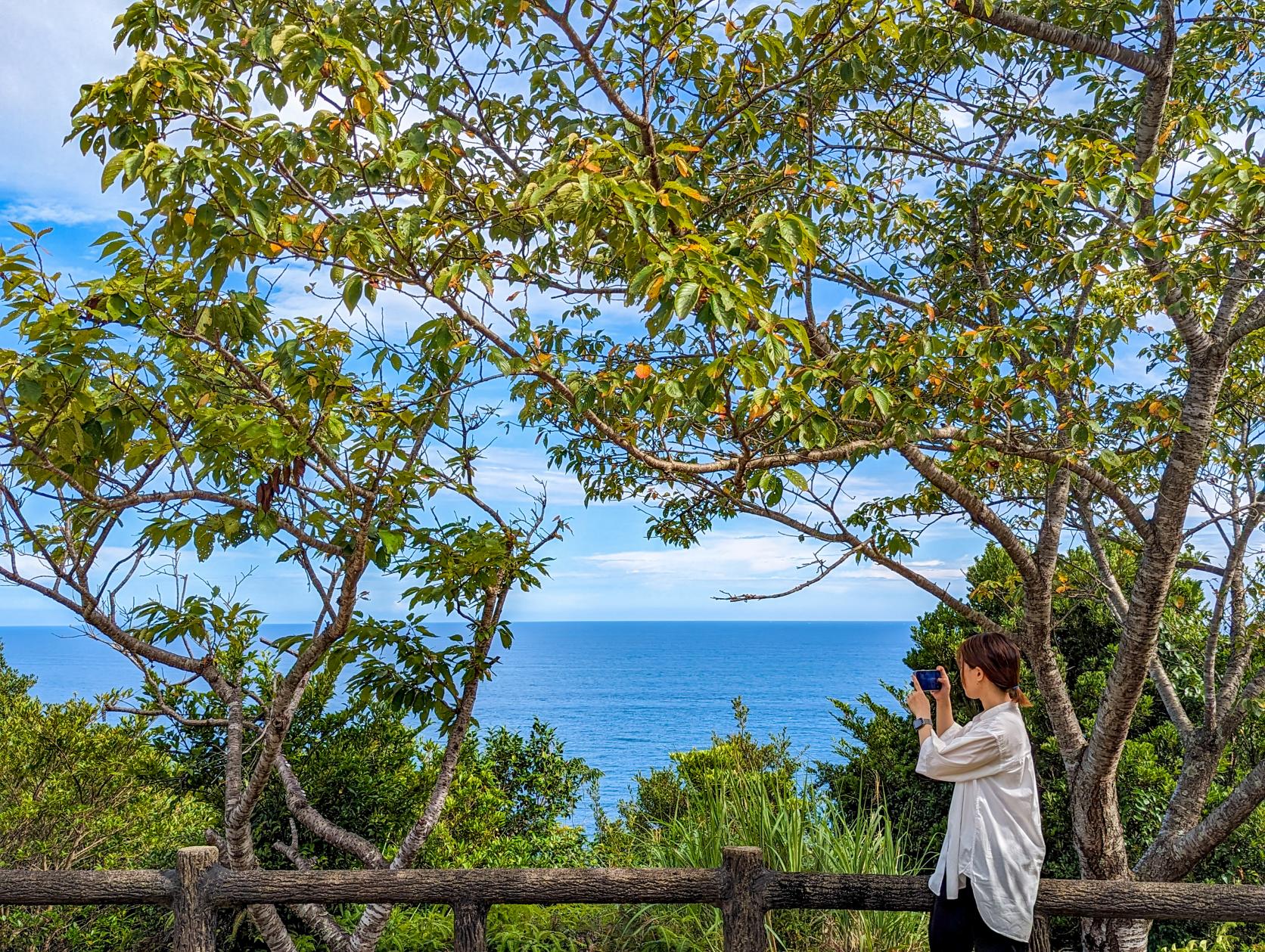 見江島展望台【心型的海灣】-4