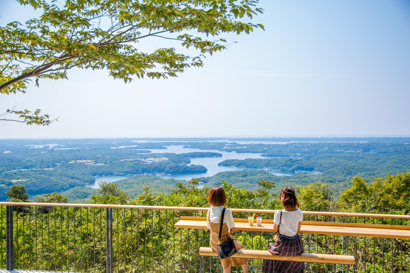 Yokoyama View Point-3