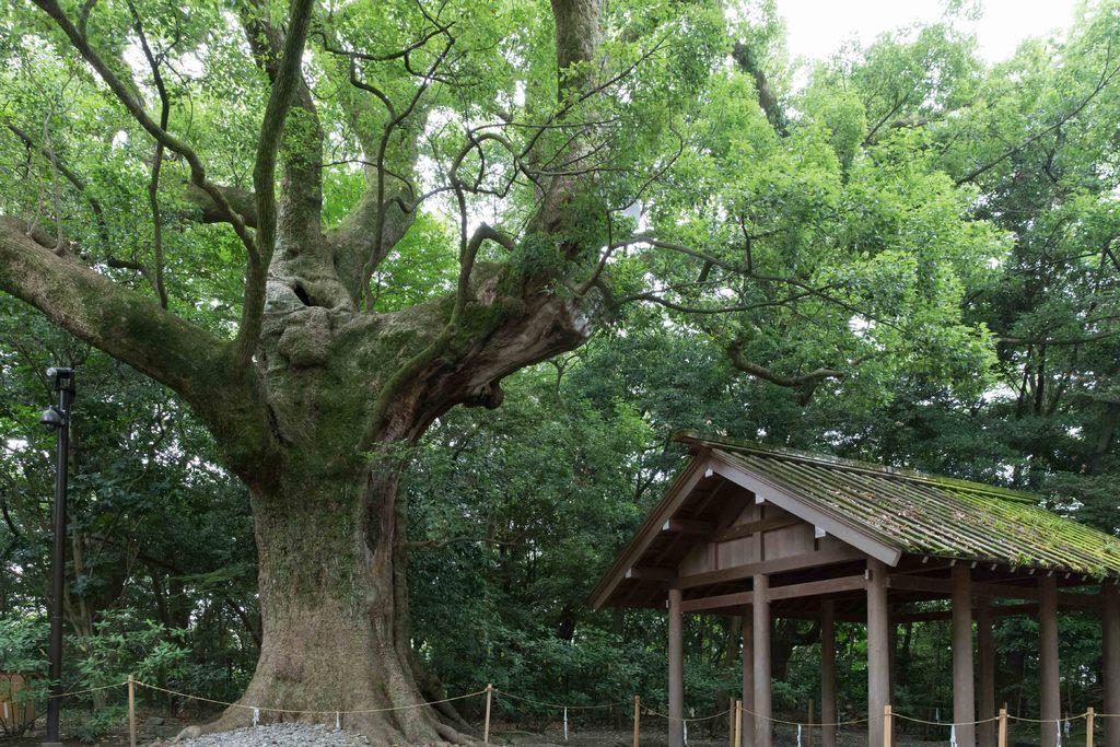 도요우케 대신궁 별궁 쓰키요미노미야(이세 신궁 외궁)-1