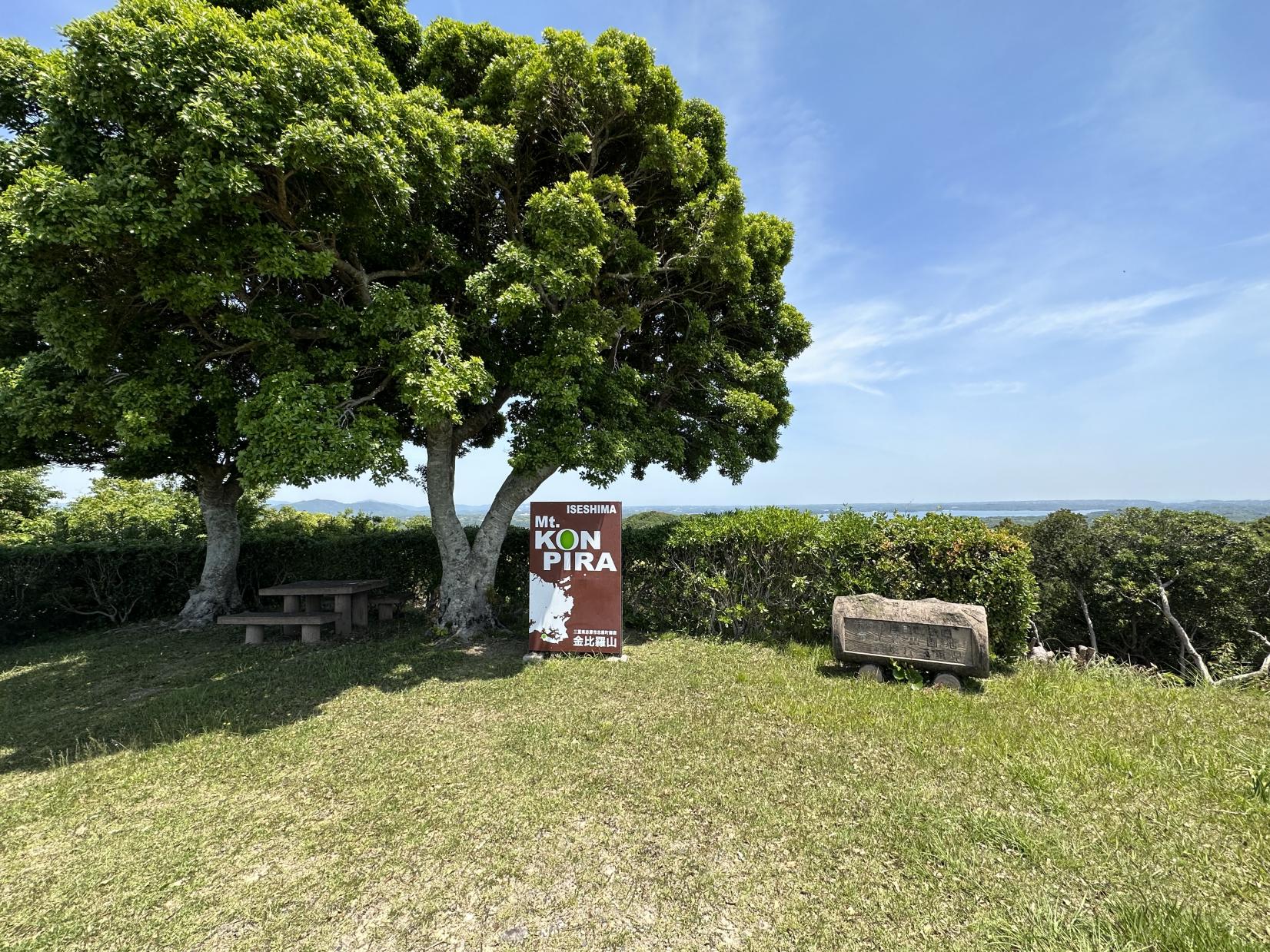 金比羅山-2