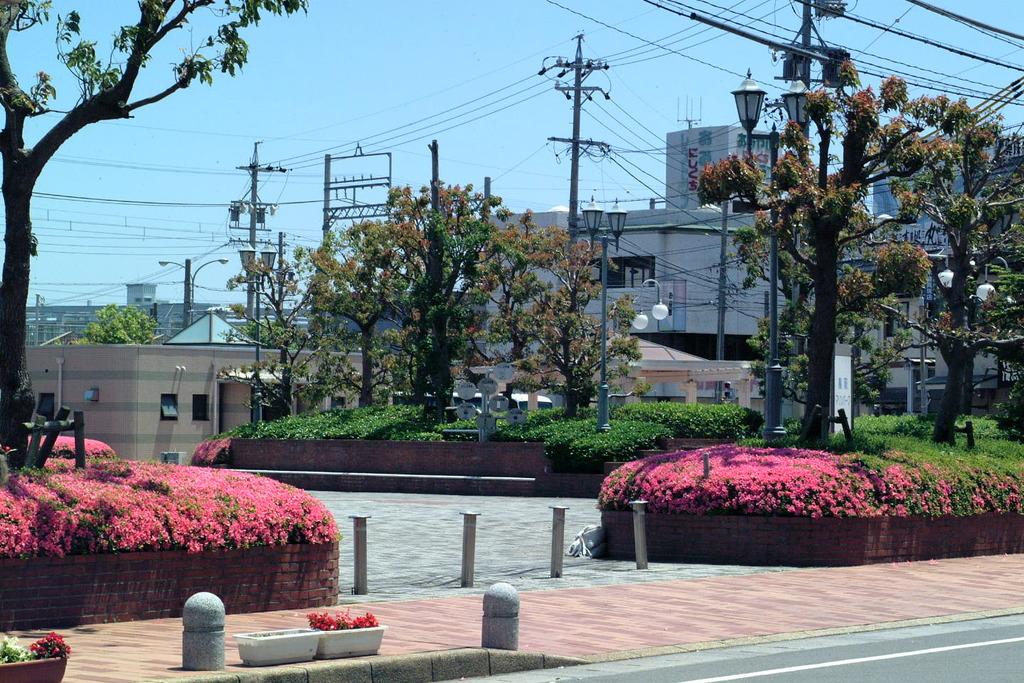 公園の風景1