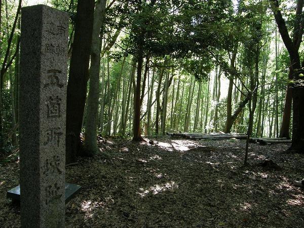 Ruines du château de Gokasho-1