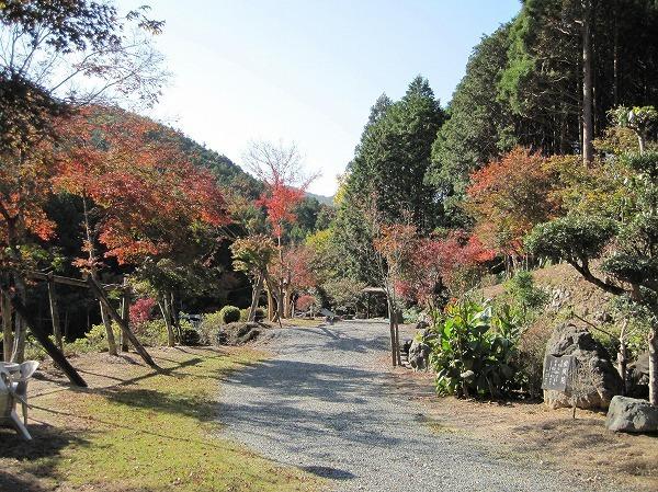 苑内の風景1