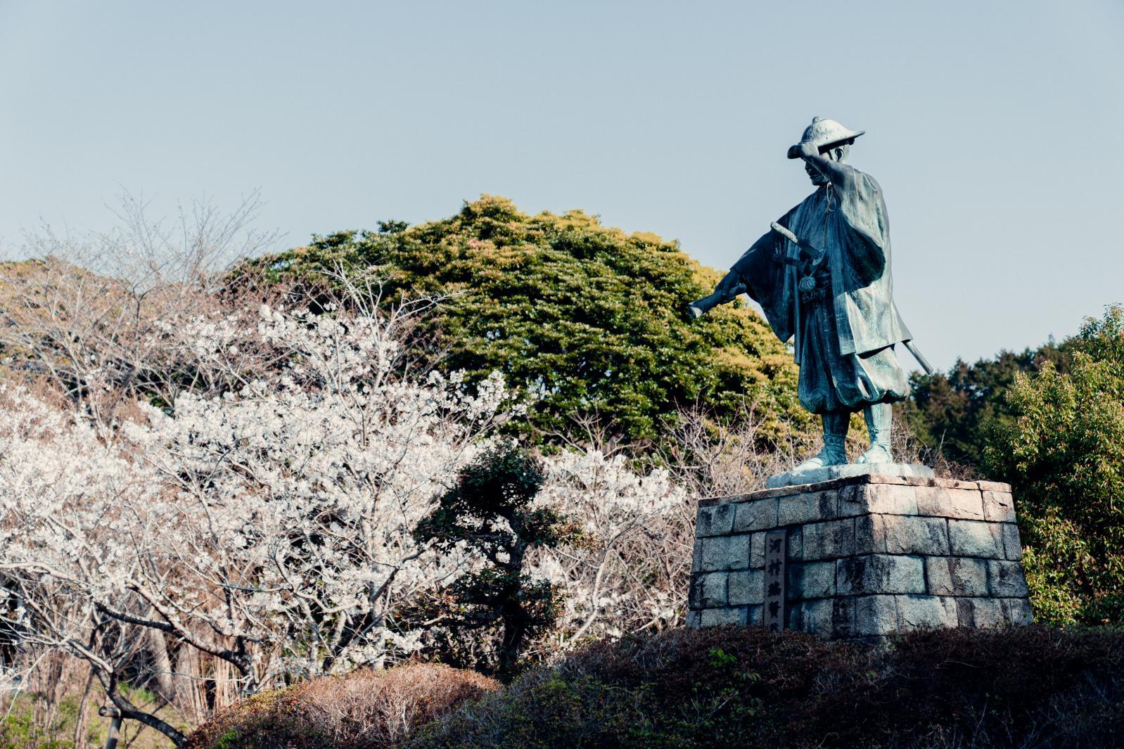 河村瑞賢公園の河津桜-4