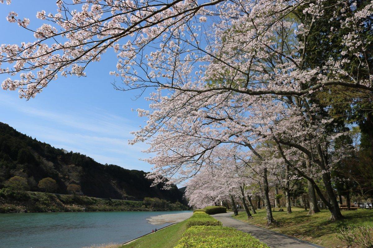 Parc Miya River Watarai 【Vente de thé d'Ise】-3