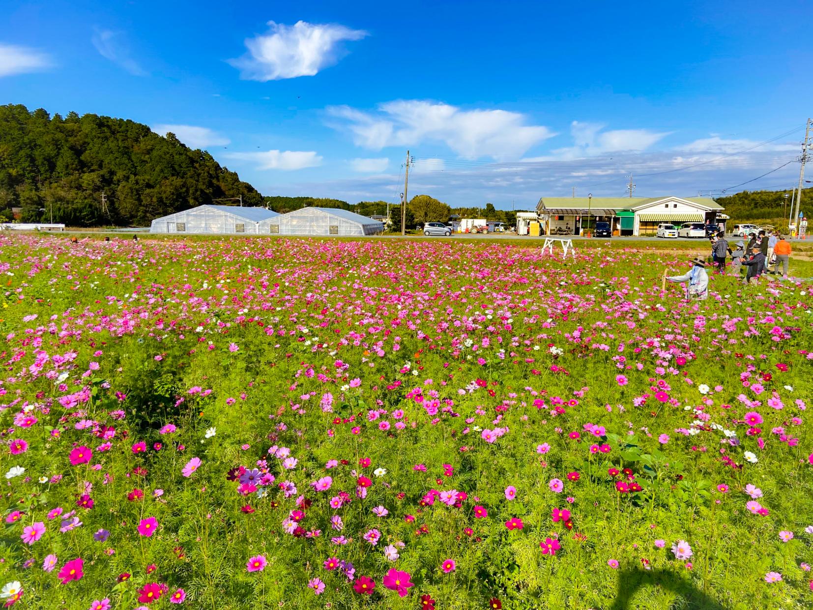 アスピア玉城-7