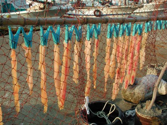 菅島 スポット・体験 伊勢志摩観光ナビ 伊勢志摩観光コンベンション機構公式サイト