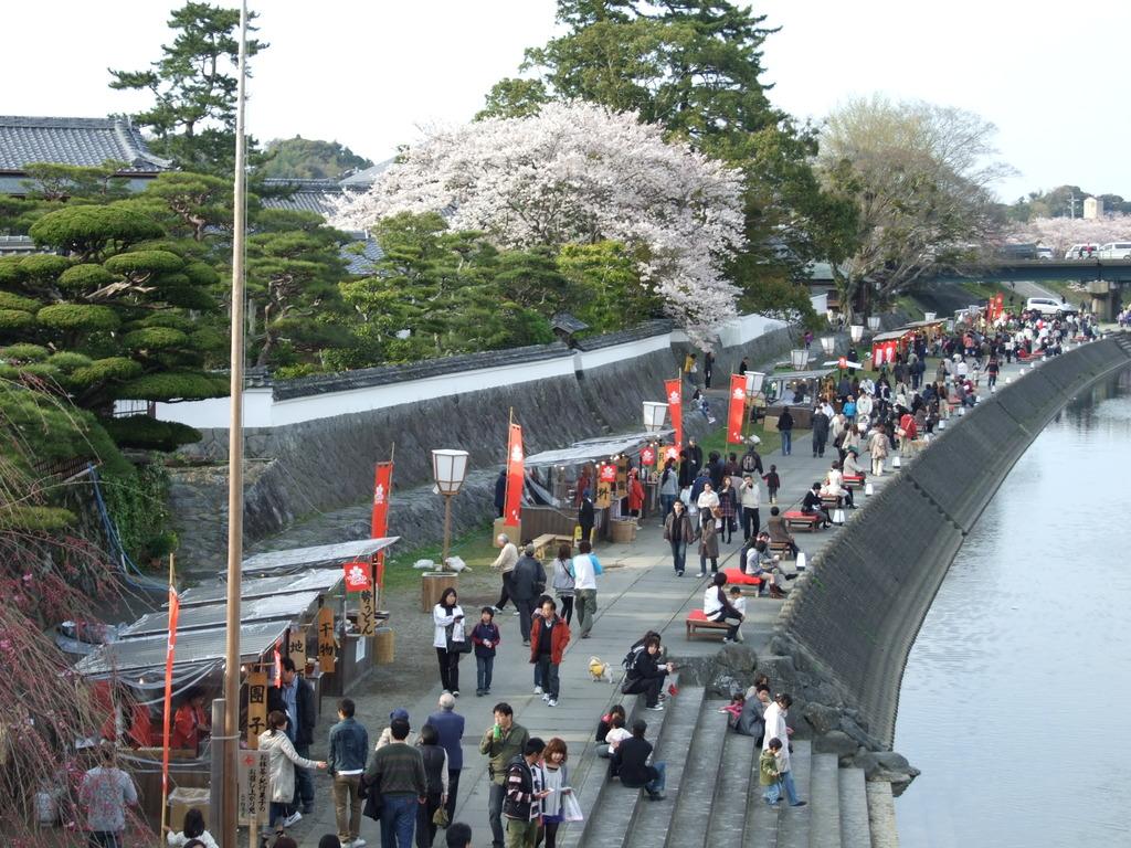 五十鈴川の様子（春）