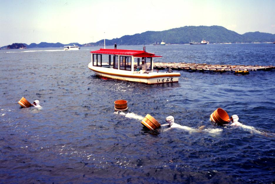 Mikimoto Pearl Island【Pearl and Demonstration of Ama】-6
