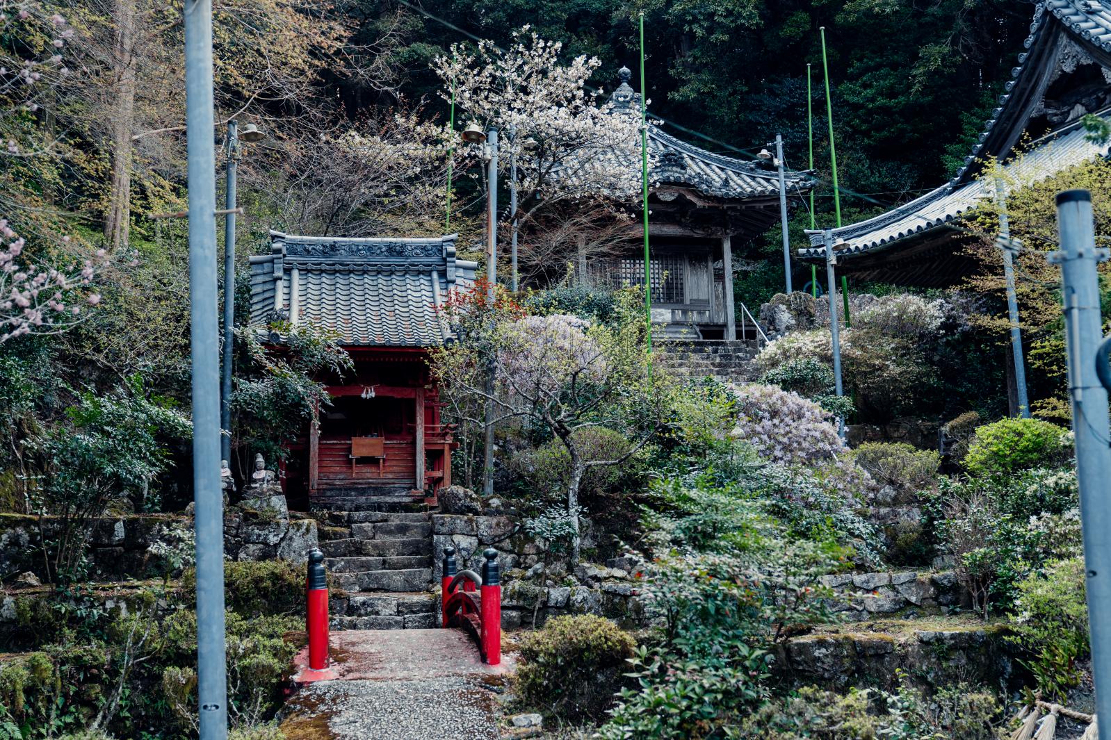 Aonominesan Shofukuji-2