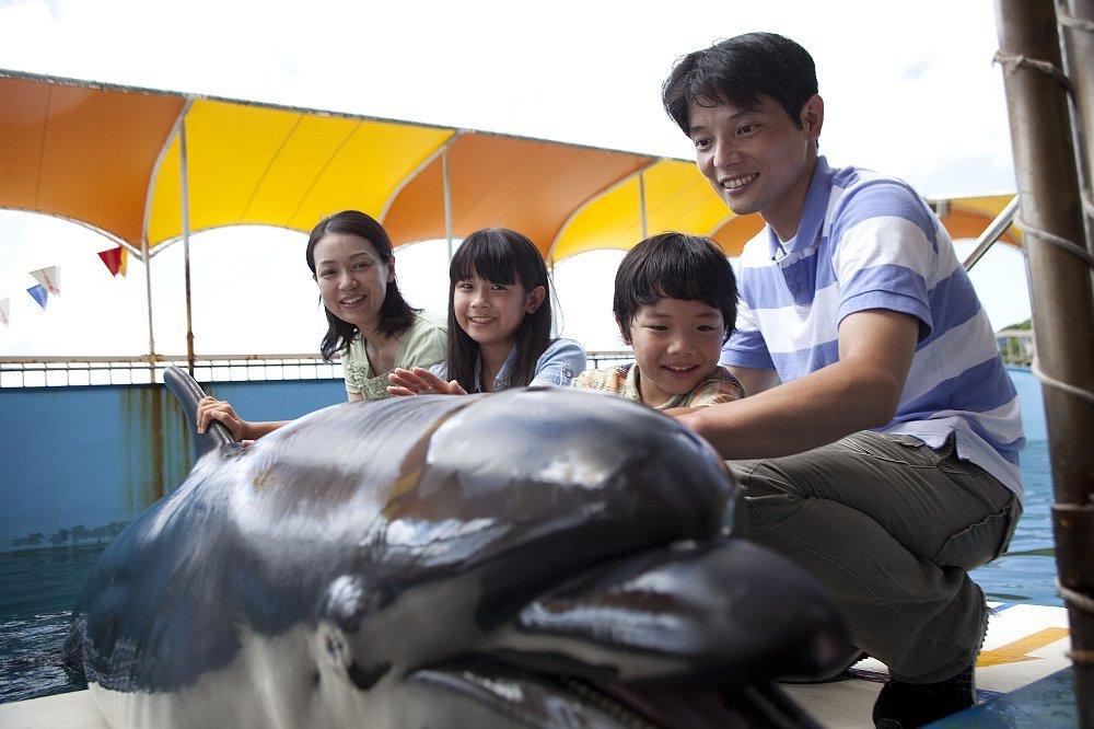 鳥羽灣遊覽船及海豚島-4