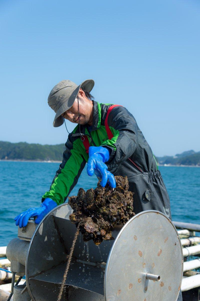 Uramura oyster huts-3