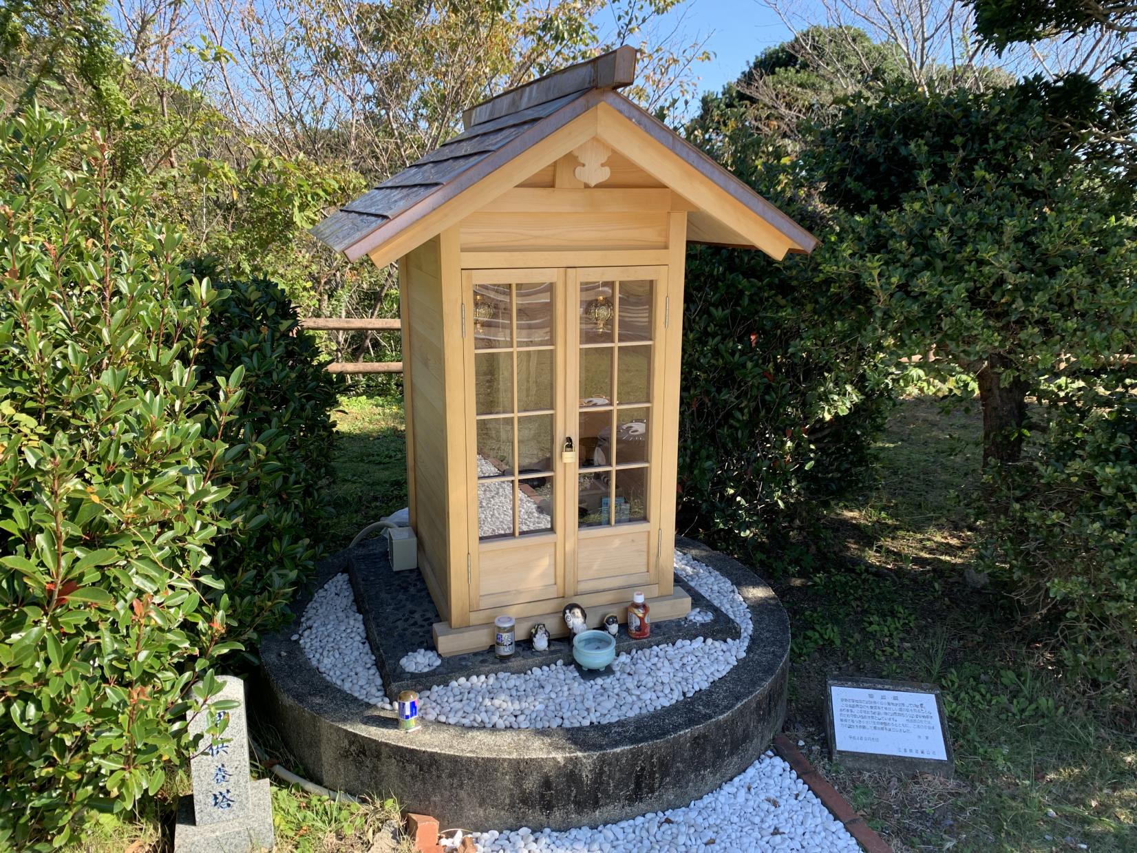 面白展望台-4