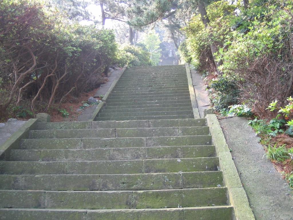 八代神社-3