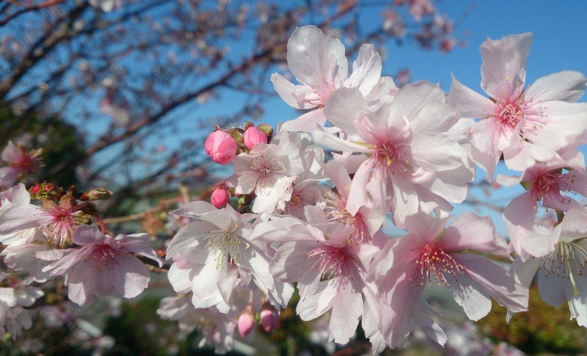 朝熊山麓公園-2