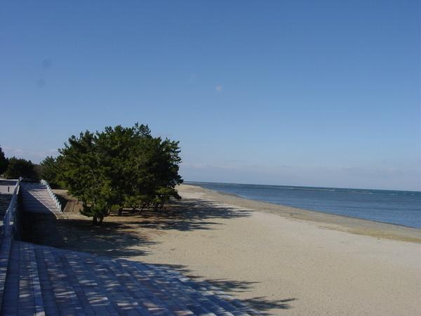 大湊海岸からの海の眺め