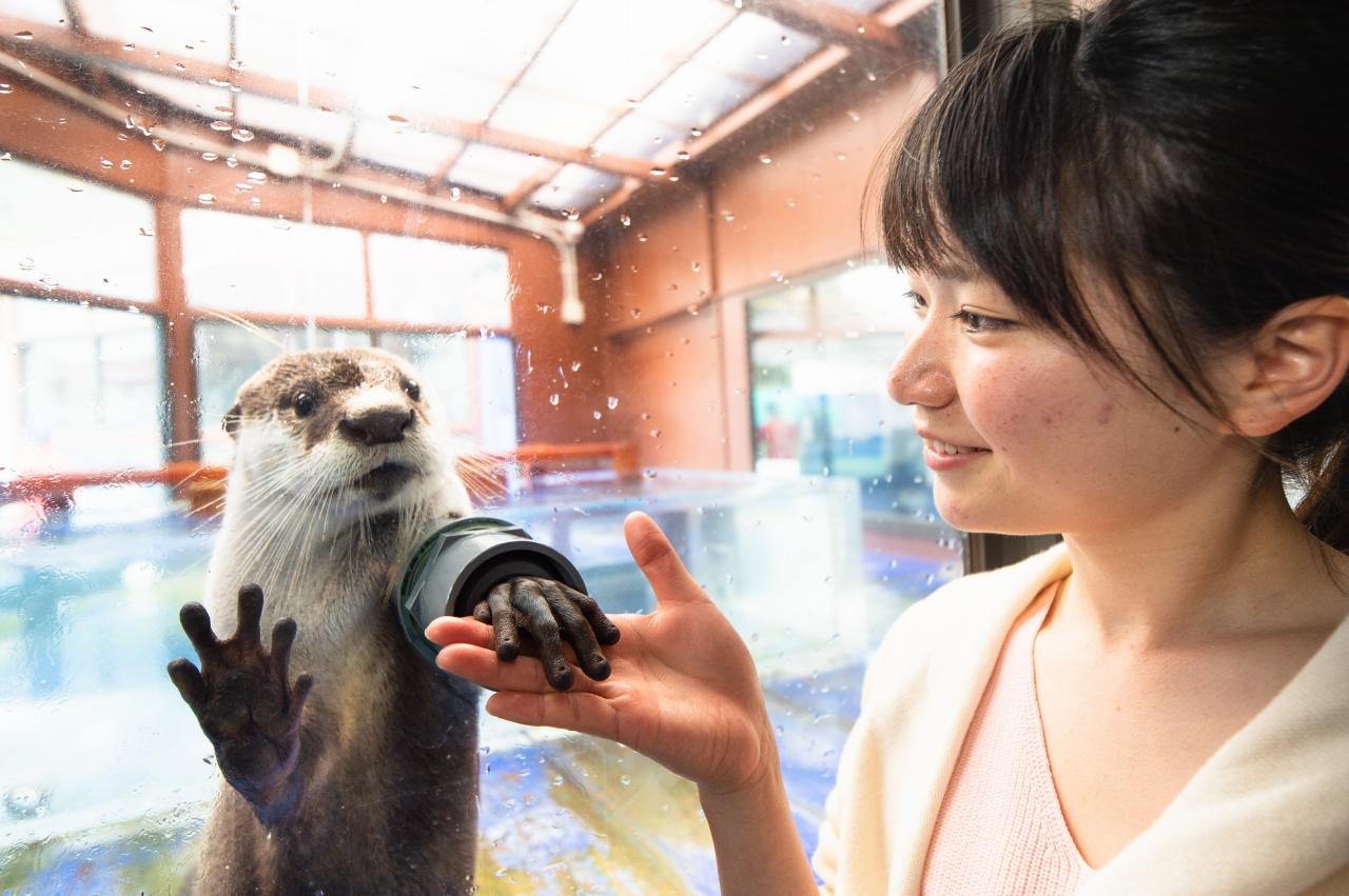 伊勢海洋樂園-1