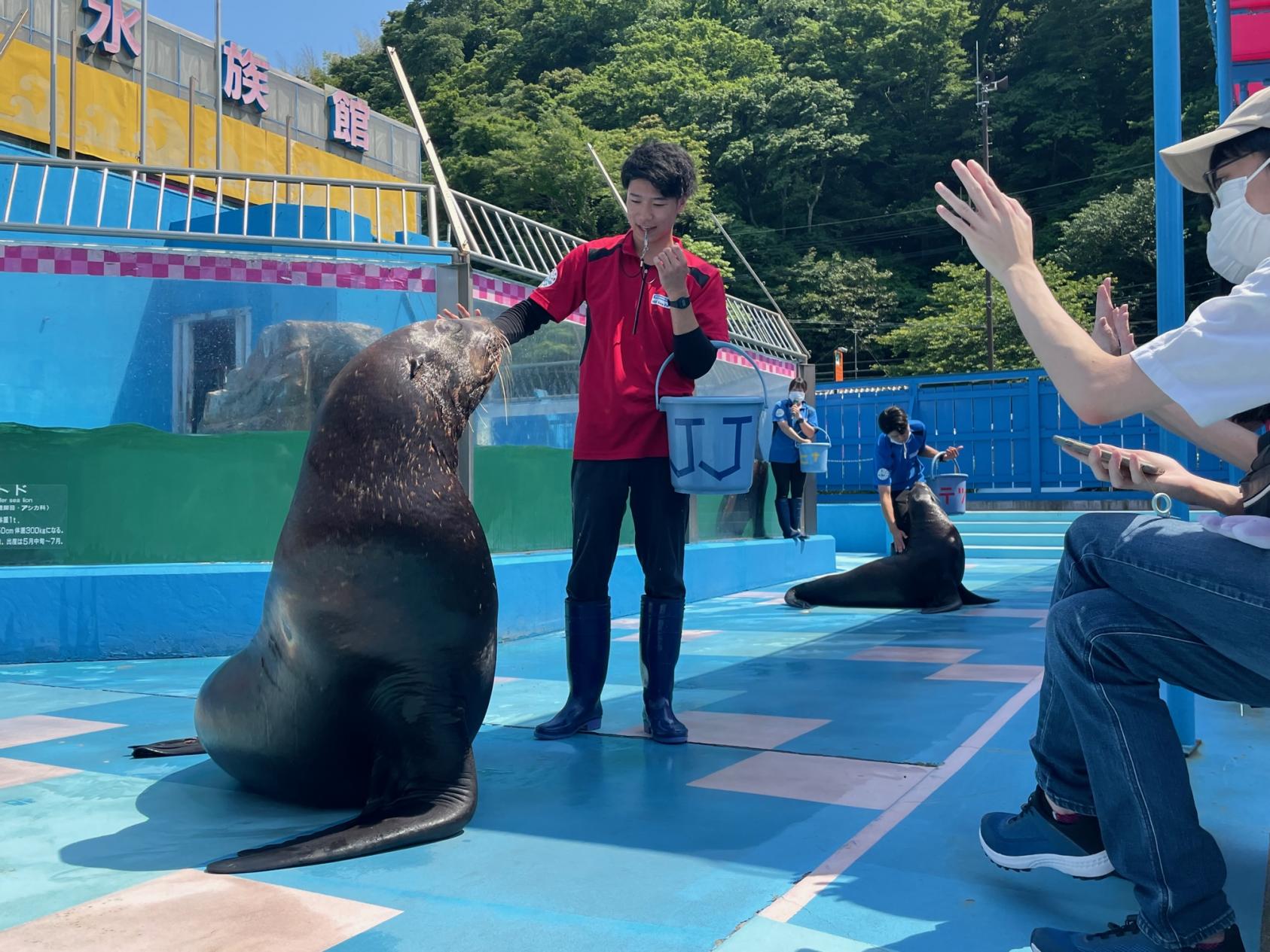 伊勢海洋樂園-4