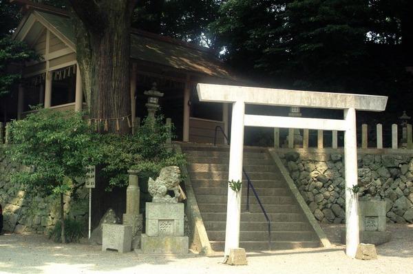 大山祇神社-0