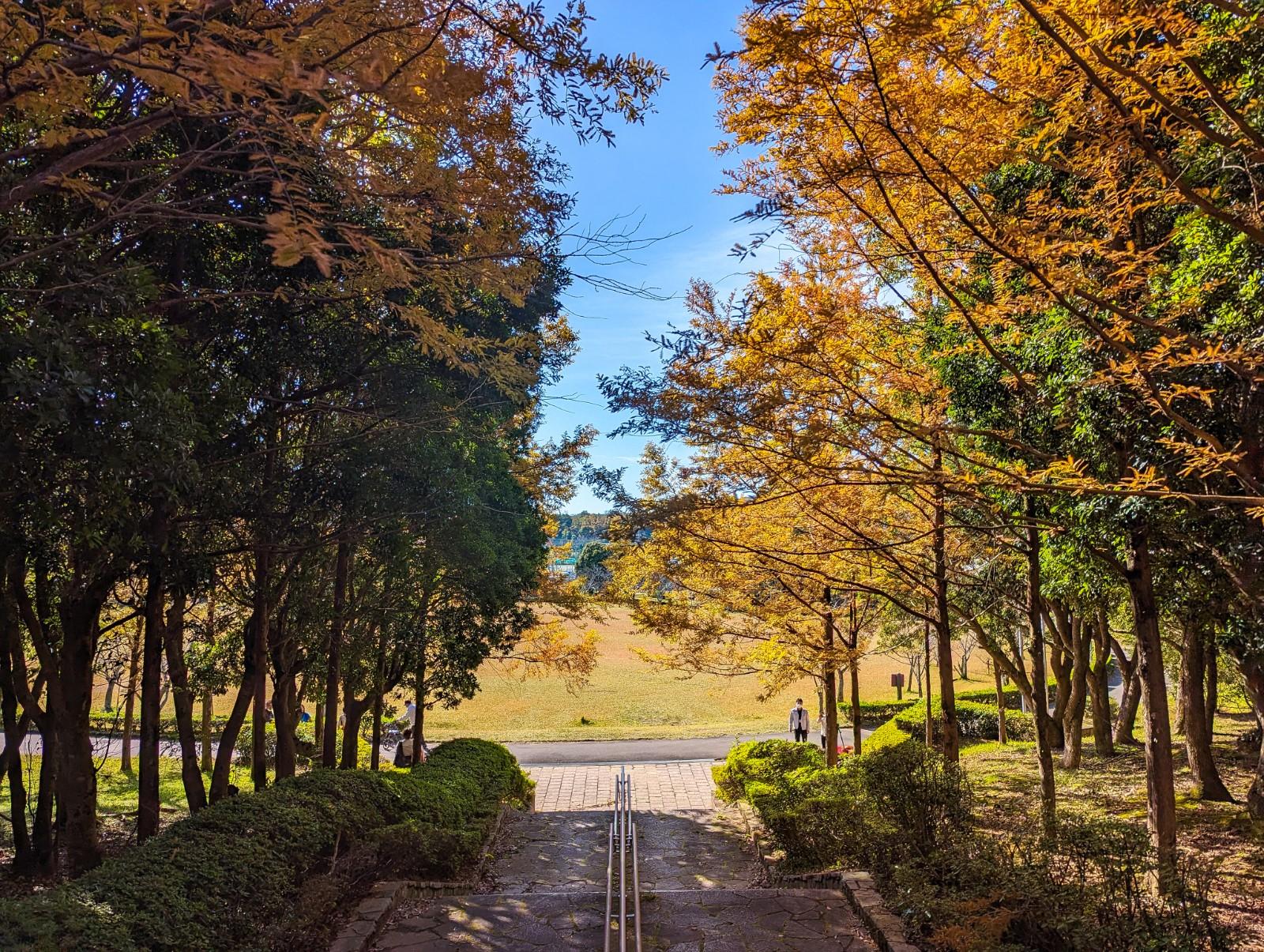 鳥羽市民の森公園（ガリバー公園）-4